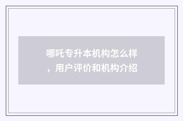 哪吒专升本机构怎么样，用户评价和机构介绍
