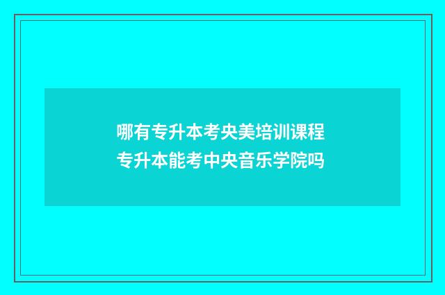哪有专升本考央美培训课程 专升本能考中央音乐学院吗