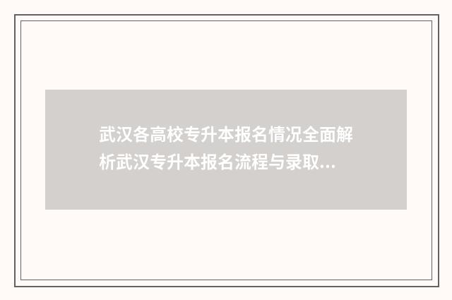 武汉各高校专升本报名情况全面解析武汉专升本报名流程与录取条件 湖北武汉有哪些学校专升本的学校
