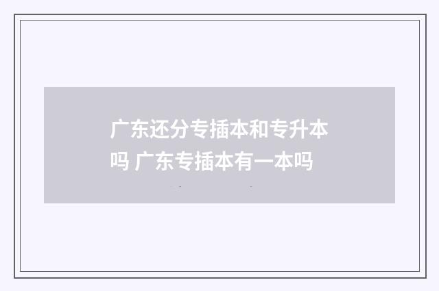 广东还分专插本和专升本吗 广东专插本有一本吗