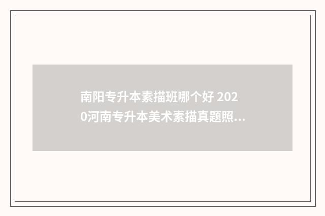 南阳专升本素描班哪个好 2020河南专升本美术素描真题照片
