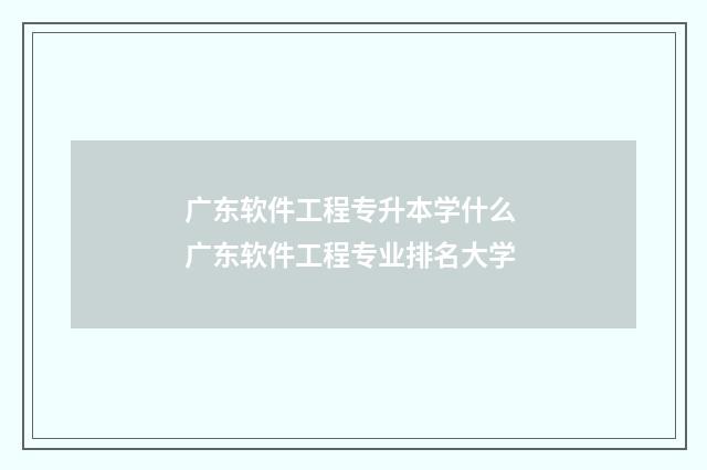 广东软件工程专升本学什么 广东软件工程专业排名大学