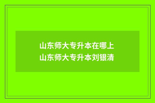 山东师大专升本在哪上 山东师大专升本刘银清
