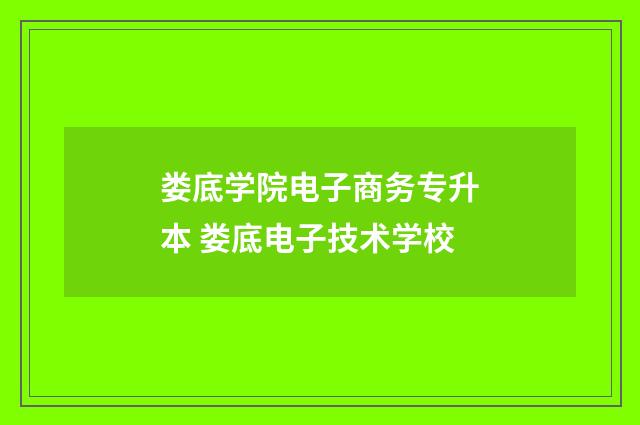 娄底学院电子商务专升本 娄底电子技术学校