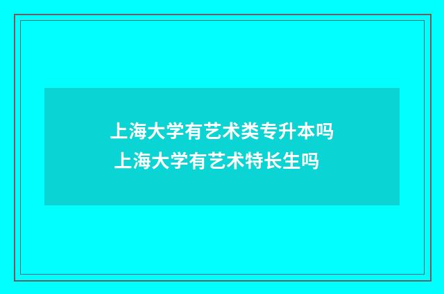 上海大学有艺术类专升本吗 上海大学有艺术特长生吗