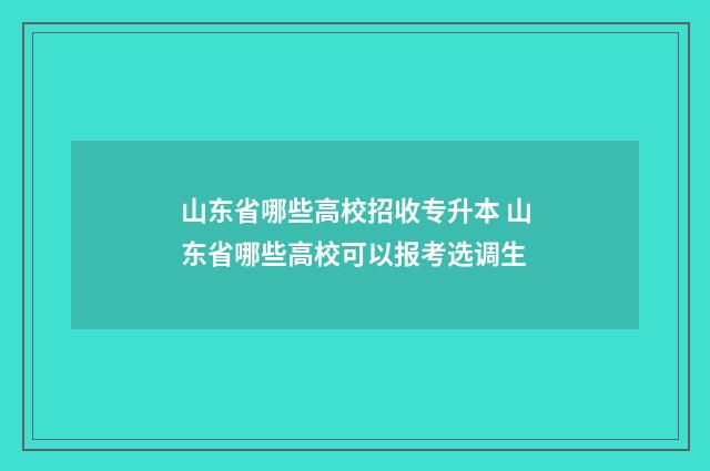 山东省哪些高校招收专升本 山东省哪些高校可以报考选调生
