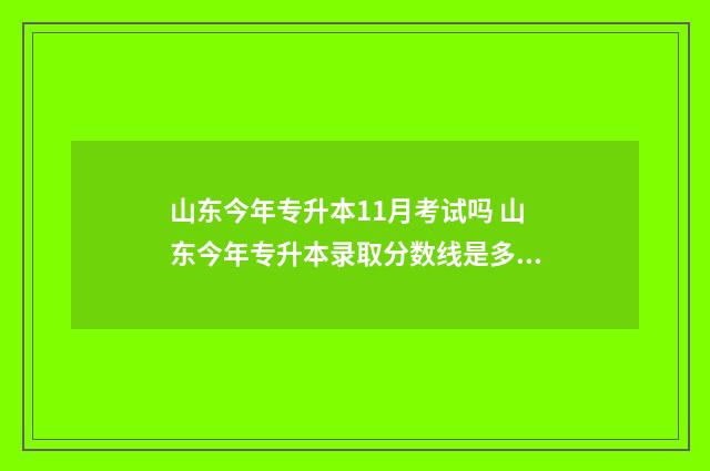 山东今年专升本11月考试吗 山东今年专升本录取分数线是多少