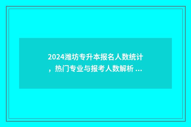 2024潍坊专升本报名人数统计，热门专业与报考人数解析 2024潍坊专升本考点