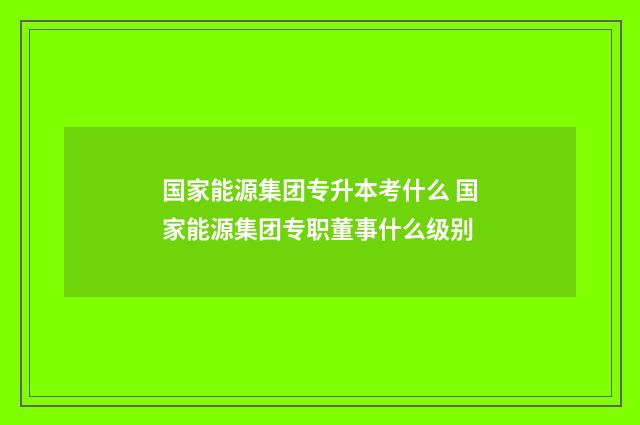 国家能源集团专升本考什么 国家能源集团专职董事什么级别