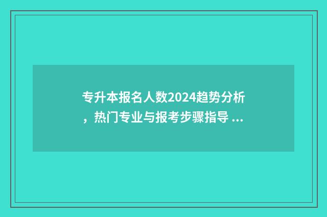 专升本报名人数2024趋势分析，热门专业与报考步骤指导 专升本报名人数多好还是少好