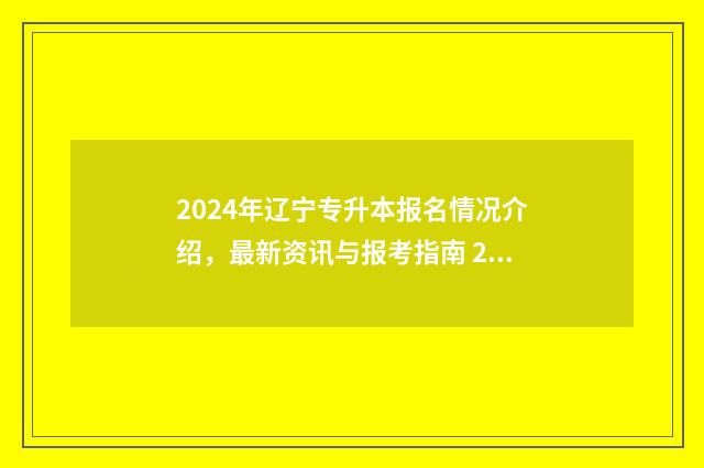 2024年辽宁专升本报名情况介绍，最新资讯与报考指南 2024年辽宁专升本专业有哪些