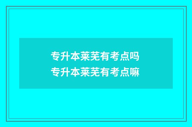 专升本莱芜有考点吗 专升本莱芜有考点嘛