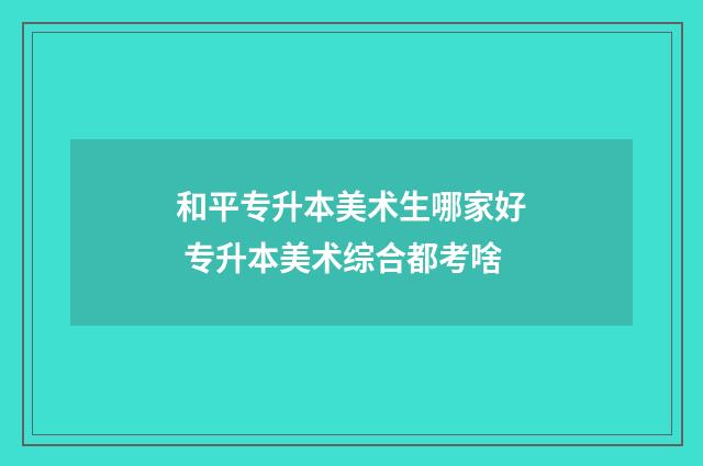和平专升本美术生哪家好 专升本美术综合都考啥
