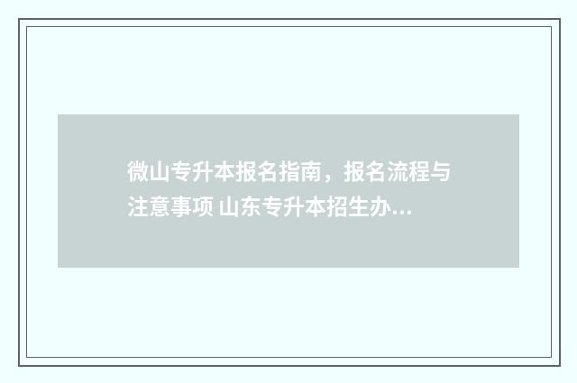 微山专升本报名指南，报名流程与注意事项 山东专升本招生办电话