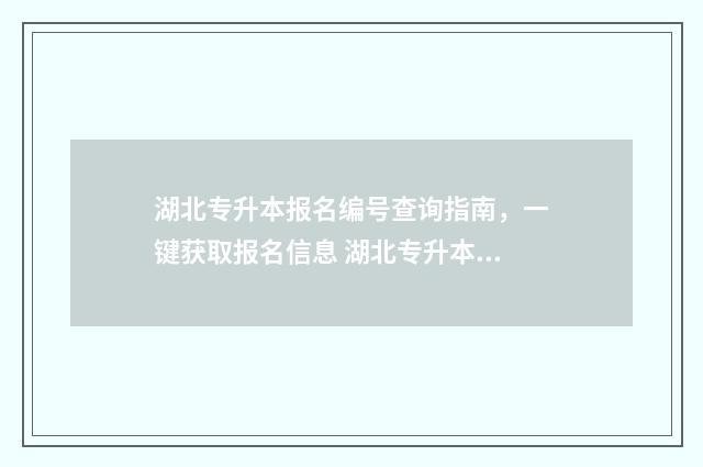 湖北专升本报名编号查询指南，一键获取报名信息 湖北专升本报名入口官网2025