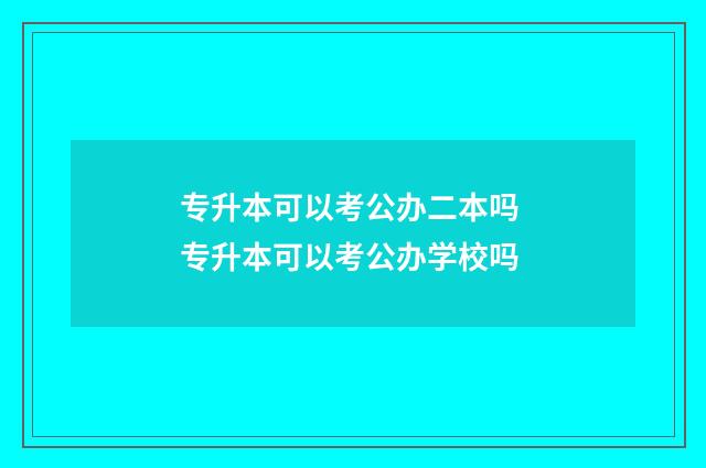 专升本可以考公办二本吗 专升本可以考公办学校吗