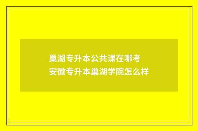 巢湖专升本公共课在哪考 安徽专升本巢湖学院怎么样