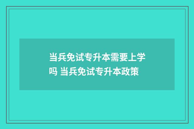 当兵免试专升本需要上学吗 当兵免试专升本政策