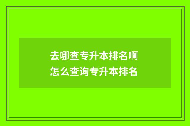去哪查专升本排名啊 怎么查询专升本排名
