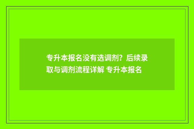 专升本报名没有选调剂？后续录取与调剂流程详解 专升本报名