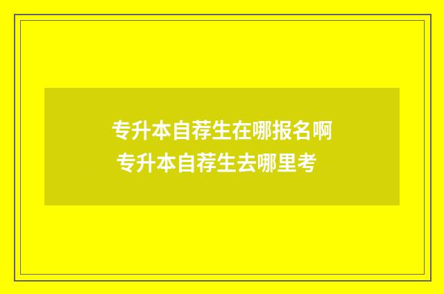 专升本自荐生在哪报名啊 专升本自荐生去哪里考