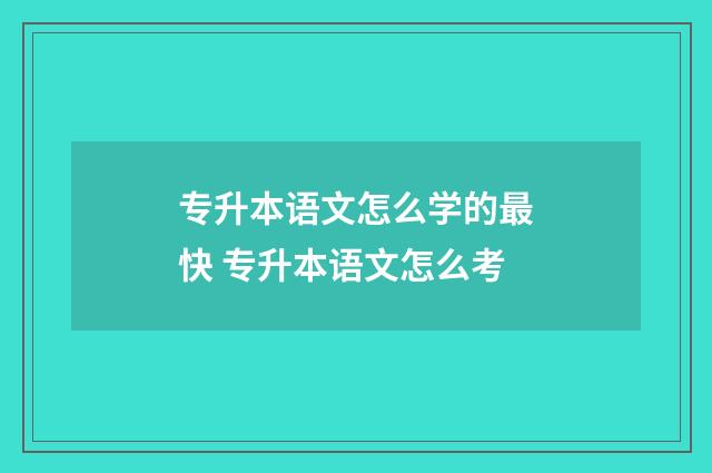 专升本语文怎么学的最快 专升本语文怎么考