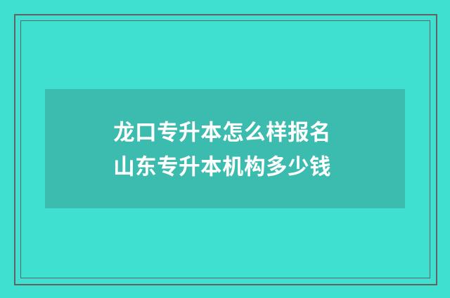 龙口专升本怎么样报名 山东专升本机构多少钱