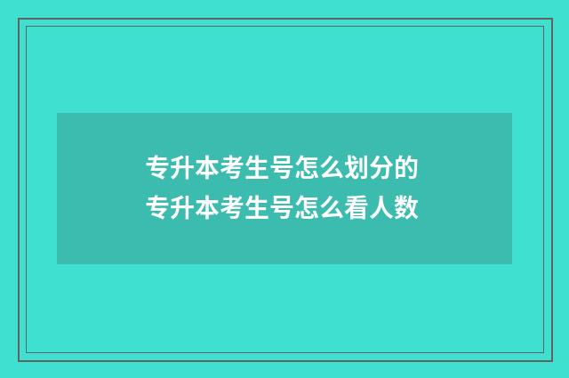 专升本考生号怎么划分的 专升本考生号怎么看人数