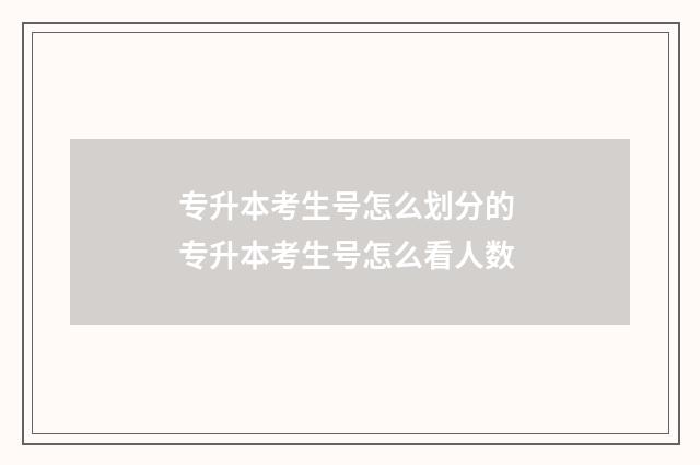 专升本考生号怎么划分的 专升本考生号怎么看人数