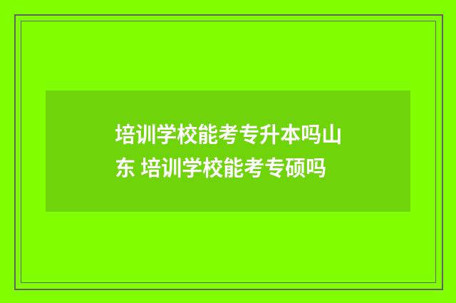 培训学校能考专升本吗山东 培训学校能考专硕吗