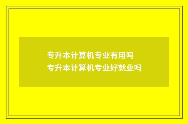 专升本计算机专业有用吗 专升本计算机专业好就业吗