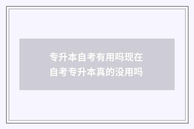 专升本自考有用吗现在 自考专升本真的没用吗