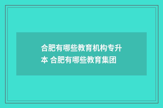 合肥有哪些教育机构专升本 合肥有哪些教育集团