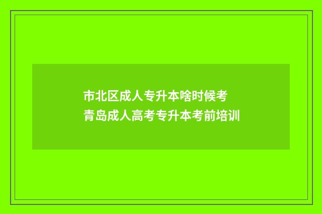 市北区成人专升本啥时候考 青岛成人高考专升本考前培训