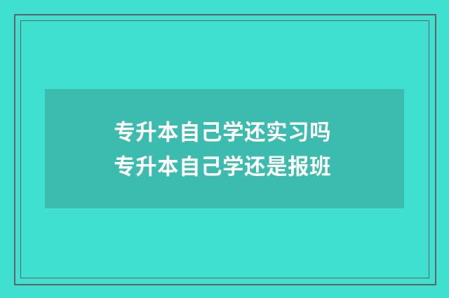 专升本自己学还实习吗 专升本自己学还是报班