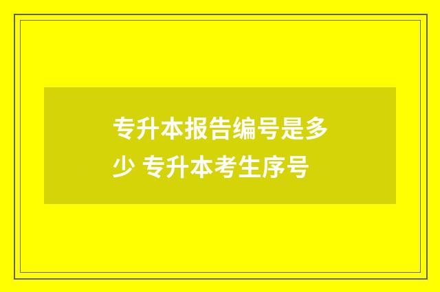 专升本报告编号是多少 专升本考生序号