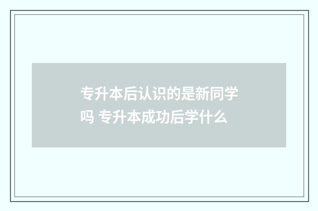 专升本后认识的是新同学吗 专升本成功后学什么