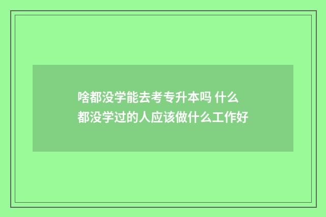 啥都没学能去考专升本吗 什么都没学过的人应该做什么工作好