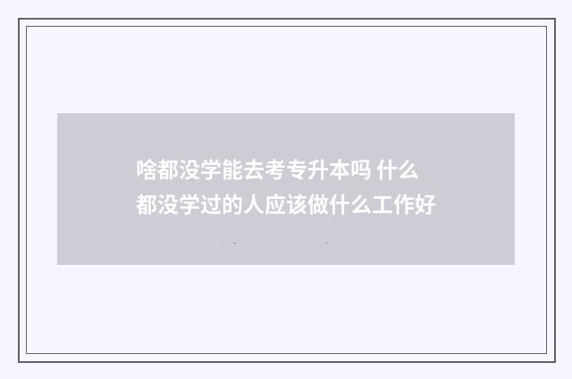 啥都没学能去考专升本吗 什么都没学过的人应该做什么工作好