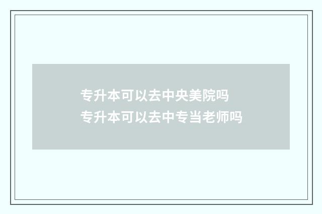 专升本可以去中央美院吗 专升本可以去中专当老师吗