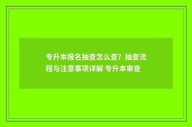 专升本报名抽查怎么查？抽查流程与注意事项详解 专升本审查