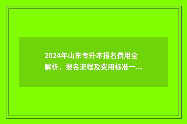2024年山东专升本报名费用全解析，报名流程及费用标准一览无余 2024年山东专升本招生院校