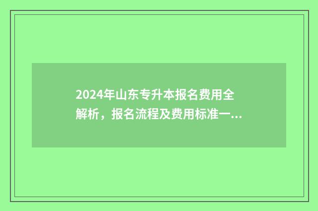 2024年山东专升本报名费用全解析，报名流程及费用标准一览无余 2024年山东专升本招生院校