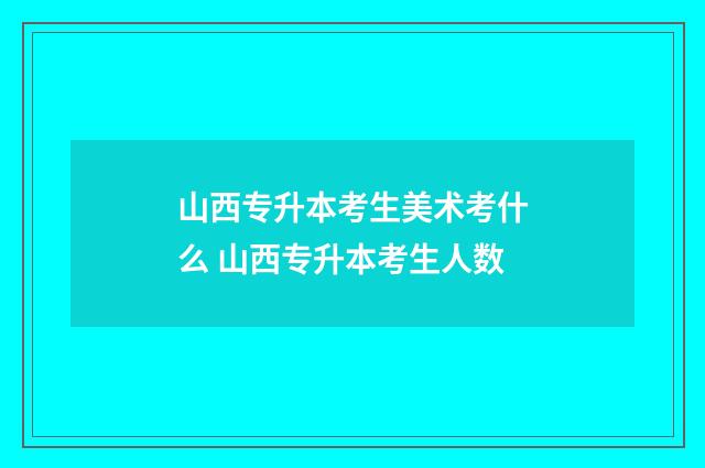 山西专升本考生美术考什么 山西专升本考生人数