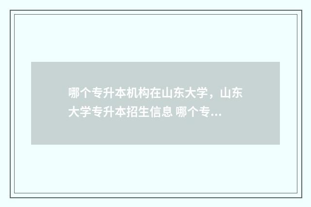 哪个专升本机构在山东大学，山东大学专升本招生信息 哪个专升本机构老板移民了