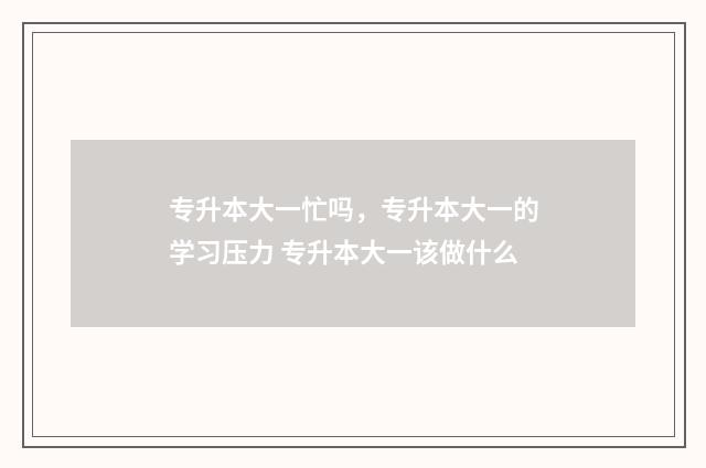 专升本大一忙吗，专升本大一的学习压力 专升本大一该做什么