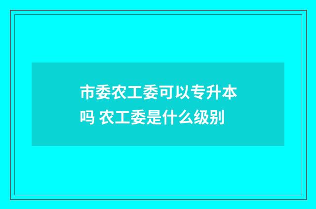 市委农工委可以专升本吗 农工委是什么级别