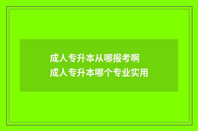 成人专升本从哪报考啊 成人专升本哪个专业实用