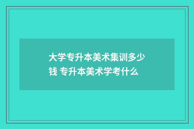 大学专升本美术集训多少钱 专升本美术学考什么