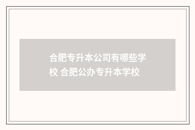 合肥专升本公司有哪些学校 合肥公办专升本学校